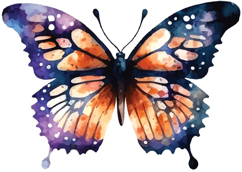 butterfly-5